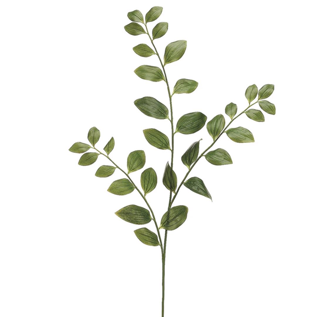 A green leafy branch with multiple stems and oval-shaped leaves, arranged symmetrically. The leaves are of varying sizes and shades of green, giving the 48-inch Stem Solomon's Seal Spray from Allstate Floral and Craft a realistic and natural appearance. The background is plain white.