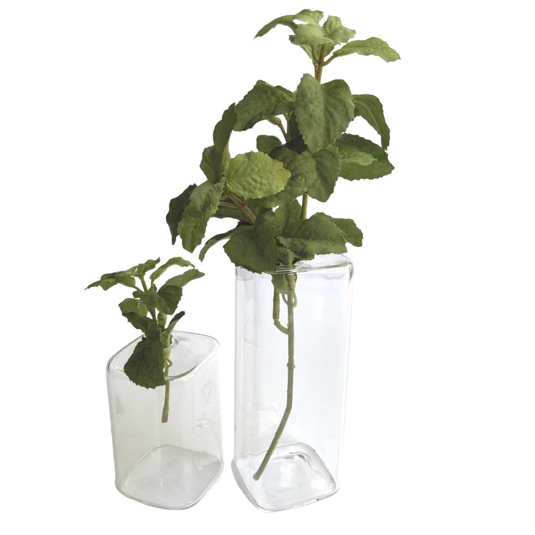 The FEARRINGTON SIGNATURE COLLECTION - LARGE CUBE VASE by CHIVE holds a single air plant, showcasing its long, spiky green leaves that lean out at an angle. This minimalist and modern arrangement stands out beautifully against a plain, light-colored background. Ideal for adding a touch of elegance to your décor with modern timeless vases blending simplicity and style.