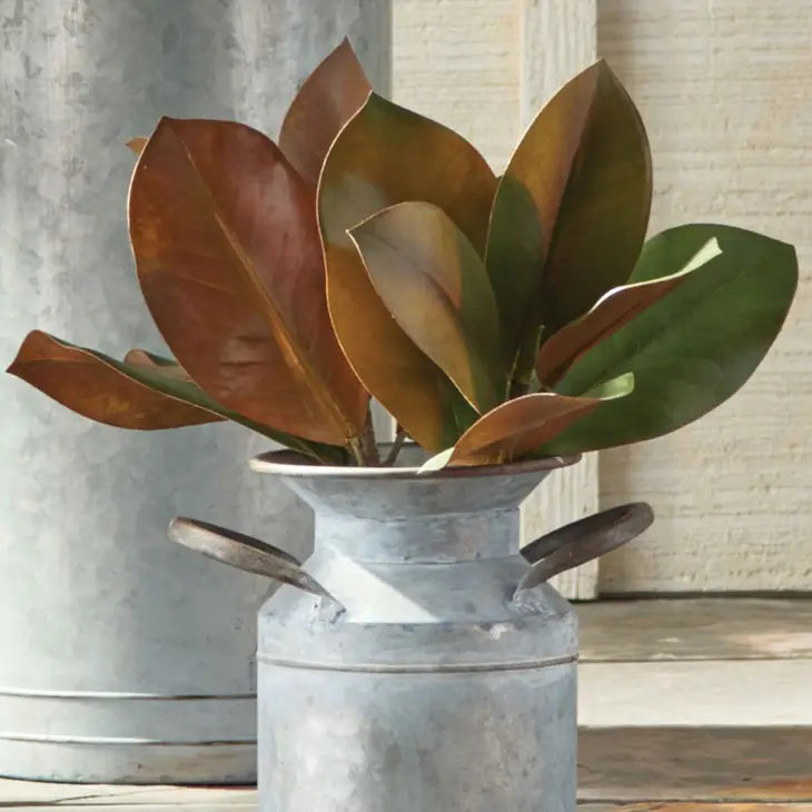 The NAPA HOME AND GARDEN - GRAND MAGNOLIA STEM features realistic green and brown magnolia leaves with a natural texture on a light brown stem. Perfect for any setting, this versatile piece is available for instore pickup.