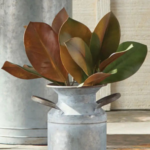 The NAPA HOME AND GARDEN - GRAND MAGNOLIA STEM features realistic green and brown magnolia leaves with a natural texture on a light brown stem. Perfect for any setting, this versatile piece is available for instore pickup.