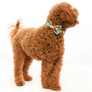 The DOG BOW TIE (STANDARD, WILDFLOWER) from THE FOGGY DOG boasts a vibrant floral print in shades of green, yellow, pink, red, and white. This impeccably tied bow tie stands out against a plain white background, making it an ideal choice for those who value handcrafted pet products.