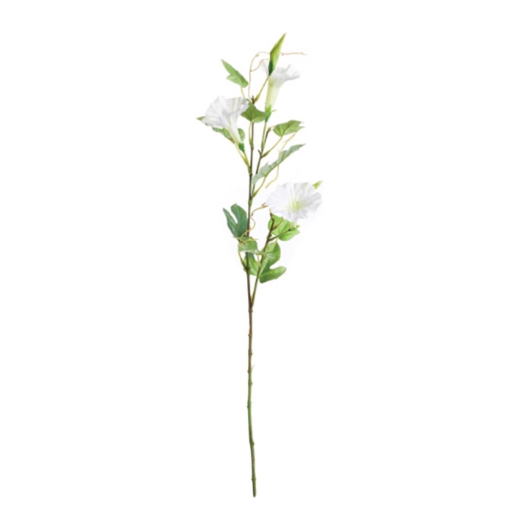 The NAPA HOME AND GARDEN - MORNING GLORY STEM 24 mimics a natural green stem with multiple branches, showcasing white trumpet-shaped flowers and lush leaves. These realistic blooms offer a delicate look perfect for simple backdrops.