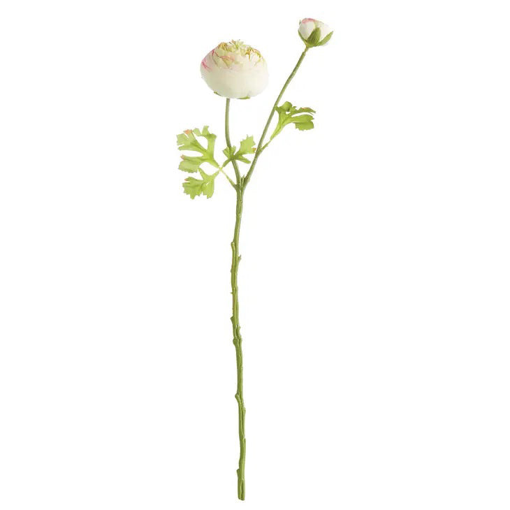 The NAPA HOME AND GARDEN Cream Ranunculus Stem features a long green stem with one full bloom and a small bud. Its petals are delicately pink-edged, and it comes with leafy greens—ideal for artificial arrangements and available for instore pickup.