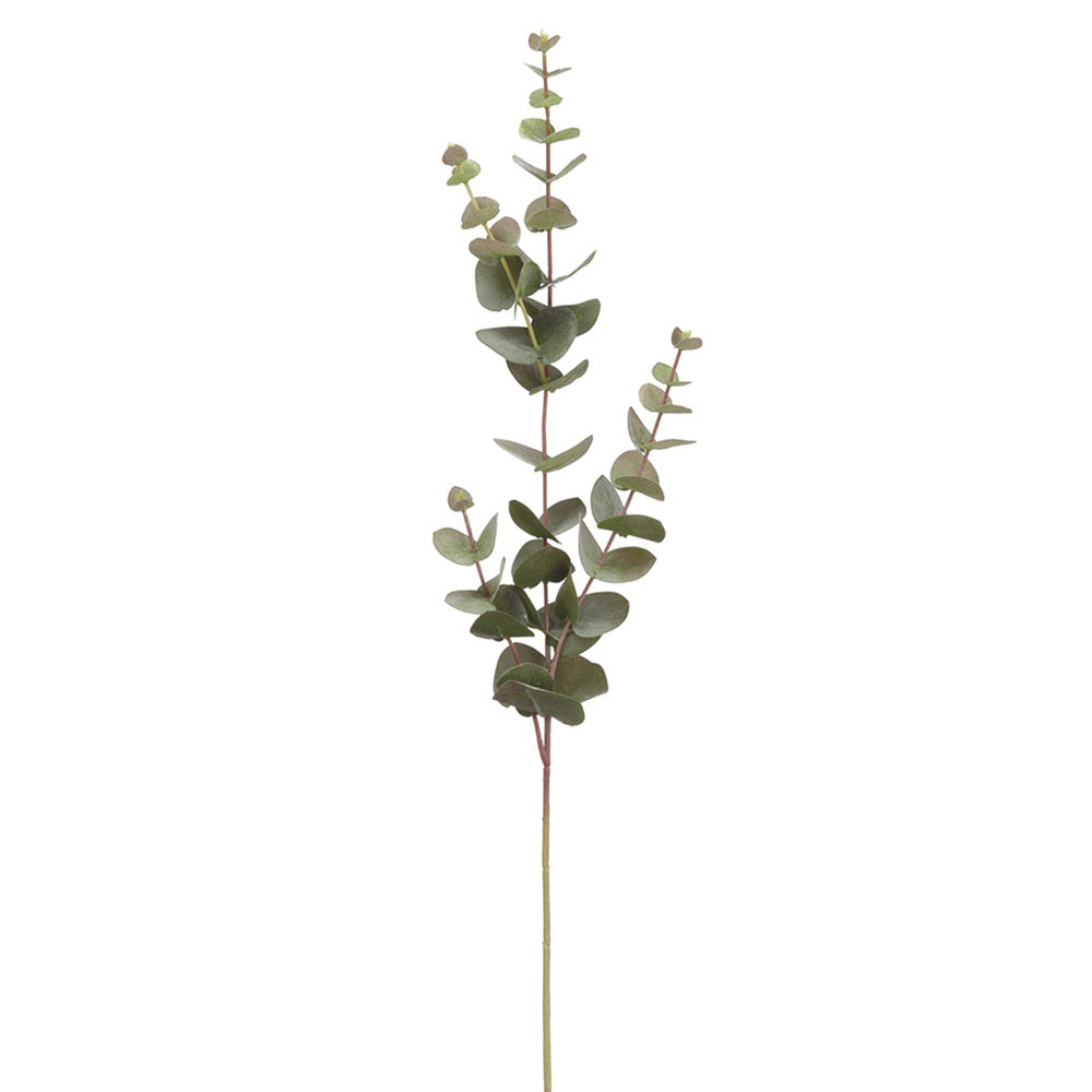 The EUCALYPTUS SPRAY 32 from ALLSTATE FLORAL AND CRAFT features a single, 32-inch eucalyptus stem with small, rounded green leaves arranged alternately along thin, red-brown branches. The leaves become more densely packed near the top, creating a delicate and airy appearance against a white background. Available for in-store pickup.
