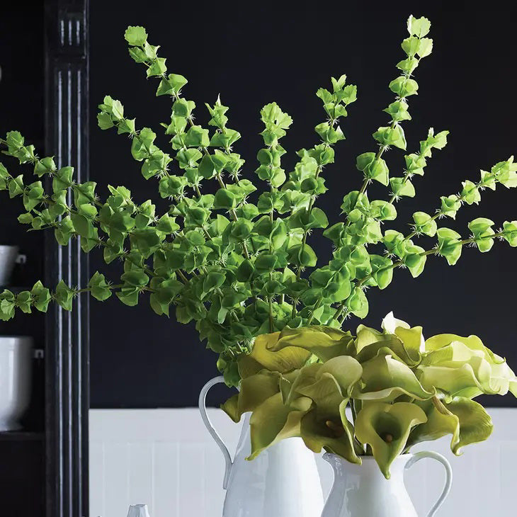 The NAPA HOME AND GARDEN - BELLS OF IRELAND - BUNDLE OF 3 features realistic long stems with evenly spaced, small, roundish green leaves on slightly curved stems for interior use, beautifully set against a plain white background.