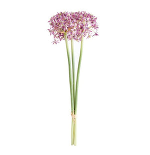 The NAPA HOME AND GARDEN - ALLIUM STEM BUNDLE features three tall, life-like purple allium flowers with long green stems, tied with a string against a white backdrop.