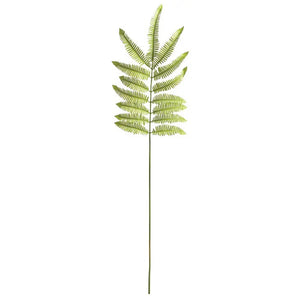 A NAPA HOME AND GARDEN - TREE FERN STEM features a lush green fern leaf against a white background, with wispy fronds branching elegantly from the central stem.