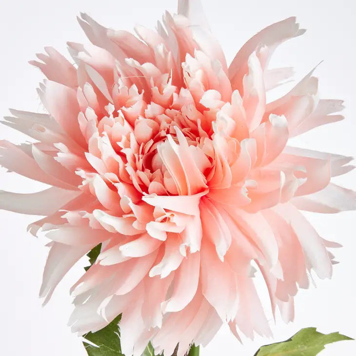 A single chrysanthemum flower with a long green stem and lush leaves from NAPA HOME AND GARDEN. The life-like pink petals are layered for a full bloom against a plain white background, highlighting its realistic beauty.