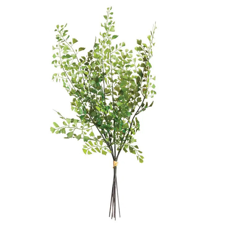 The NAPA HOME AND GARDEN - MADENHAIR FERN BUNDLE features slender green branches with delicate leaves, tied with a brown band. Its sparse foliage creates a light and airy look, ideal for realistic home decor. Available for in-store pickup.