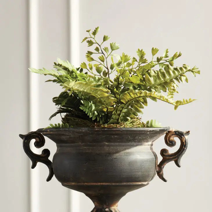 The NAPA HOME AND GARDEN - RUSTIC MIXED FERN DROP IN features lush, arching fronds in a decorative moss ball, providing realistic green accents and a rustic touch ideal for interiors against a white backdrop.