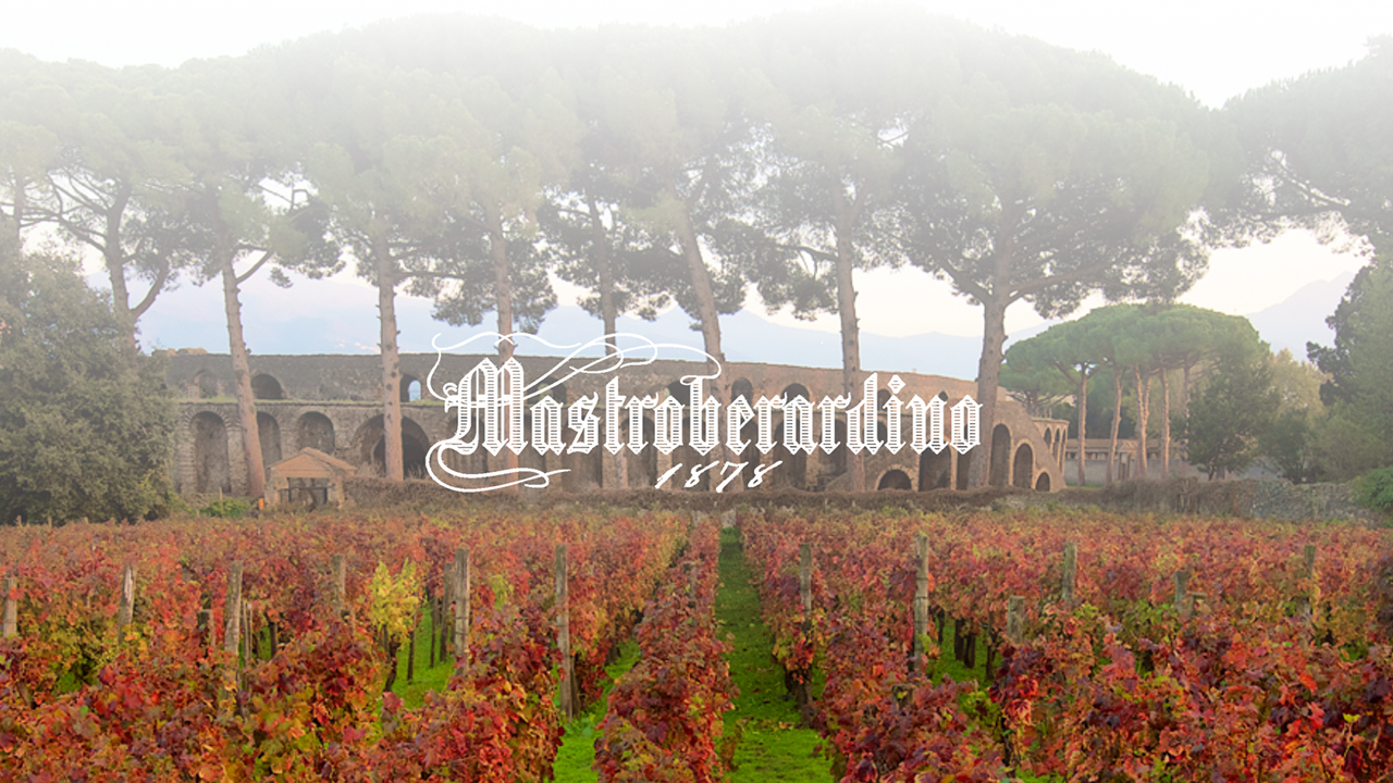 A vineyard with rows of grapevines in autumn, featuring red foliage. Tall trees and an old stone structure are in the background. The text "Mastroberardino 1878" is overlaid in the center of the image, showcasing the winery's name and year of establishment. Fearrington Village