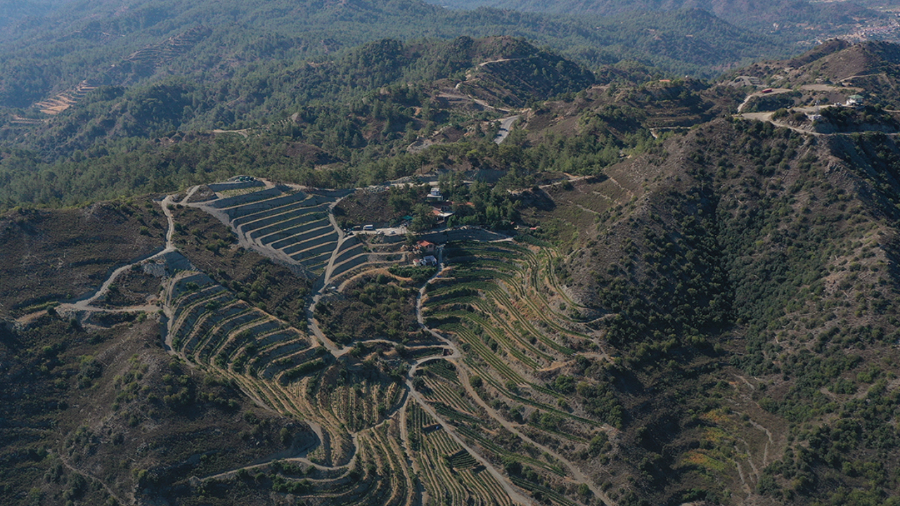 Aerial view of terraced hills with vineyards situated in a mountainous landscape. Winding roads cut through the green and brown terrain, leading to various structures nestled among the trees and fields. A mix of dense forests and cultivated land can be seen. Fearrington Village