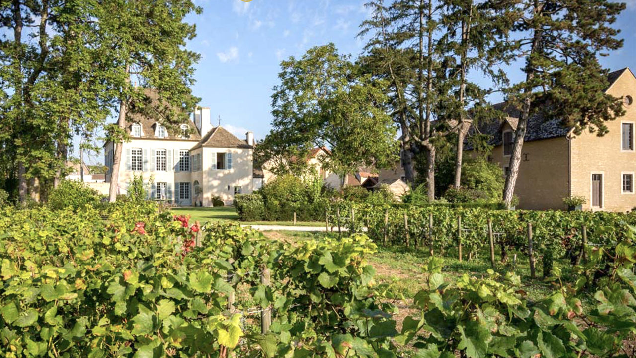 A picturesque scene of a vineyard with lush green grapevines in the foreground. In the background, there are charming, historic stone buildings with peaked roofs, partially obscured by tall trees under a clear blue sky. Fearrington Village