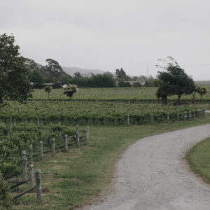 huia vineyards