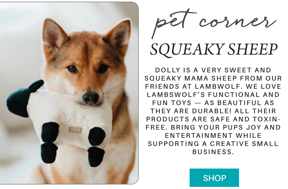 pet corner SQUEAKY SHEEP DOLLY is a very sweet and squeaky mama sheep from our friends at Lambwolf. we love lambswolf’s functional and fun toys — as beautiful as they are durable! all their products are safe and toxin-free. bring your pups joy and entertainment while supporting a creative small business. SHOP