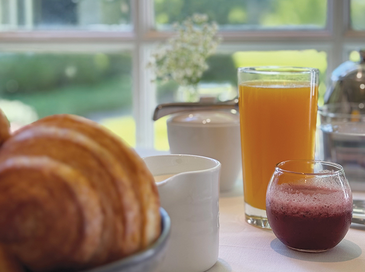 A close-up of a breakfast setting on a table near a window. It includes croissants in the foreground, a white cup and saucer, a tall glass of orange juice, a small round glass of red juice, and a teapot in the background. The outside greenery is visible through the window. Fearrington Village