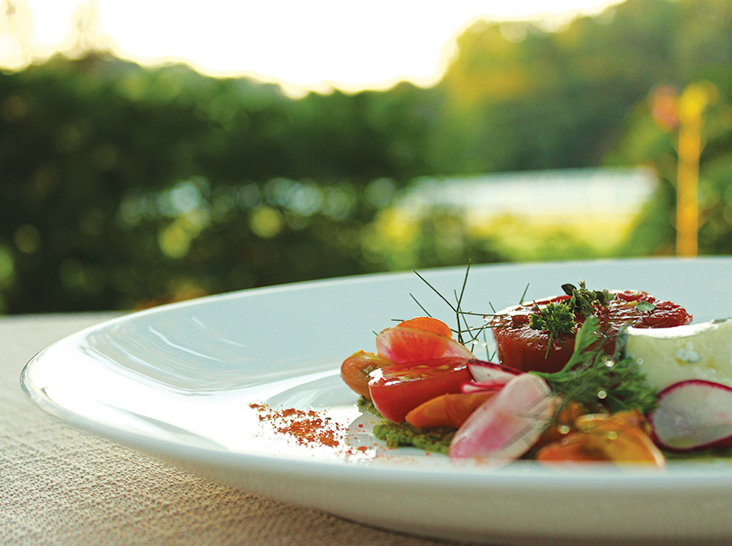Close-up of a gourmet dish on a white plate featuring vibrant sliced tomatoes, radishes, and garnished with herbs. The background is blurred, showing an outdoor setting with greenery and soft sunlight. Fearrington Village