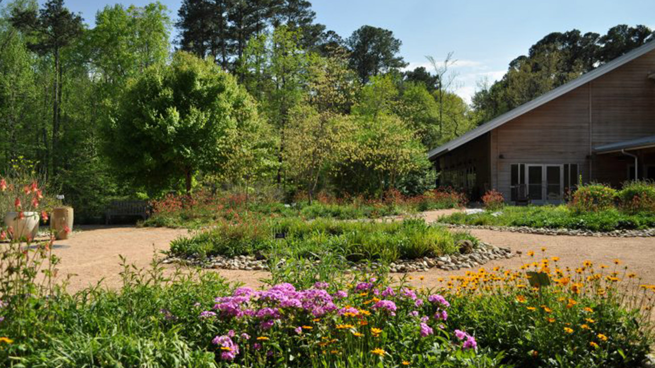 The North Carolina Botanical Garden. A colorful, well-maintained garden with various flowering plants and lush greenery on a sunny day. The garden features a central pathway lined with rocks, leading to a wooden building on the right side of the image, surrounded by tall trees in the background. Fearrington Village