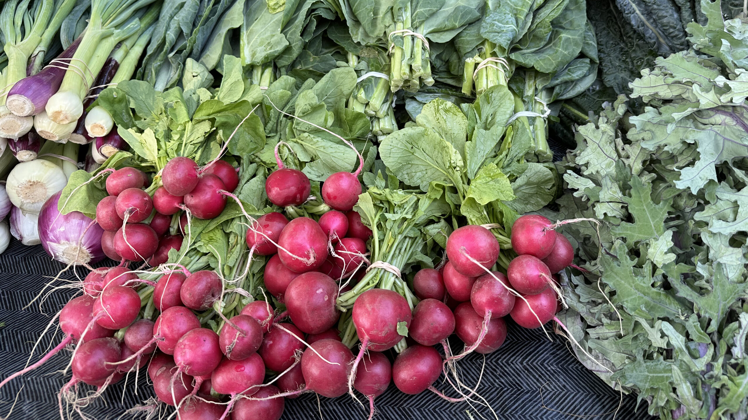 A vibrant display of fresh vegetables at a market. Bundles of bright red radishes with green stems are surrounded by leafy greens, including kale and wild onions. The vegetables are arranged in an orderly fashion on a textured dark fabric background. Fearrington Village