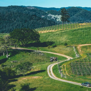 Lioco Wines. Winding dirt road cutting through rolling green hills with patches of vineyards and scattered trees. A single car is parked on the road. Forest-covered mountains rise in the background under a clear blue sky. Fearrington Village