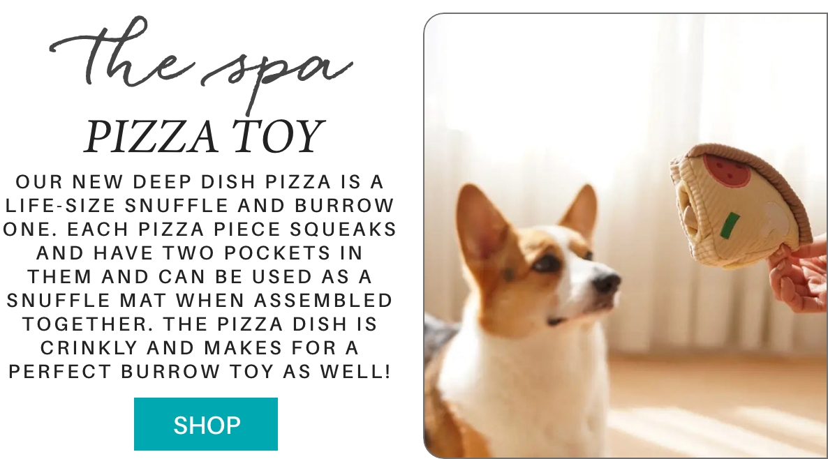 An advertisement for a spa pizza toy. A corgi looks at a hand holding a pizza toy. Text describes the toy as a life-size snuffle and burrow one with squeaky pieces and pockets for treats, doubling as a snuffle mat. The toy is crinkly and ideal for burrowing. A "Shop" button is included. Fearrington Village