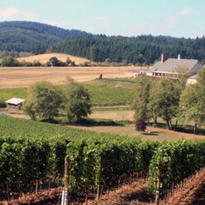 St. Innocent Winery. A scenic landscape featuring a vast vineyard with rows of grapevines in the foreground. In the background, there is a large farmhouse surrounded by fields and trees, with forested hills in the distance under a clear sky. Fearrington Village