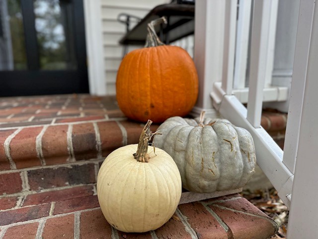 A pumpkin trio sits on brick steps: one orange, one white, and one gray. The steps lead up to a white railing and a black door in the background. Fearrington Village