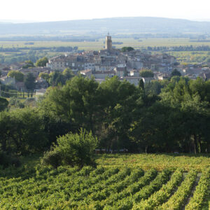 View of a picturesque village nestled in a green landscape, featuring a church tower in the center. A vineyard occupies the foreground, and rolling hills can be seen in the background under a clear sky. Fearrington Village