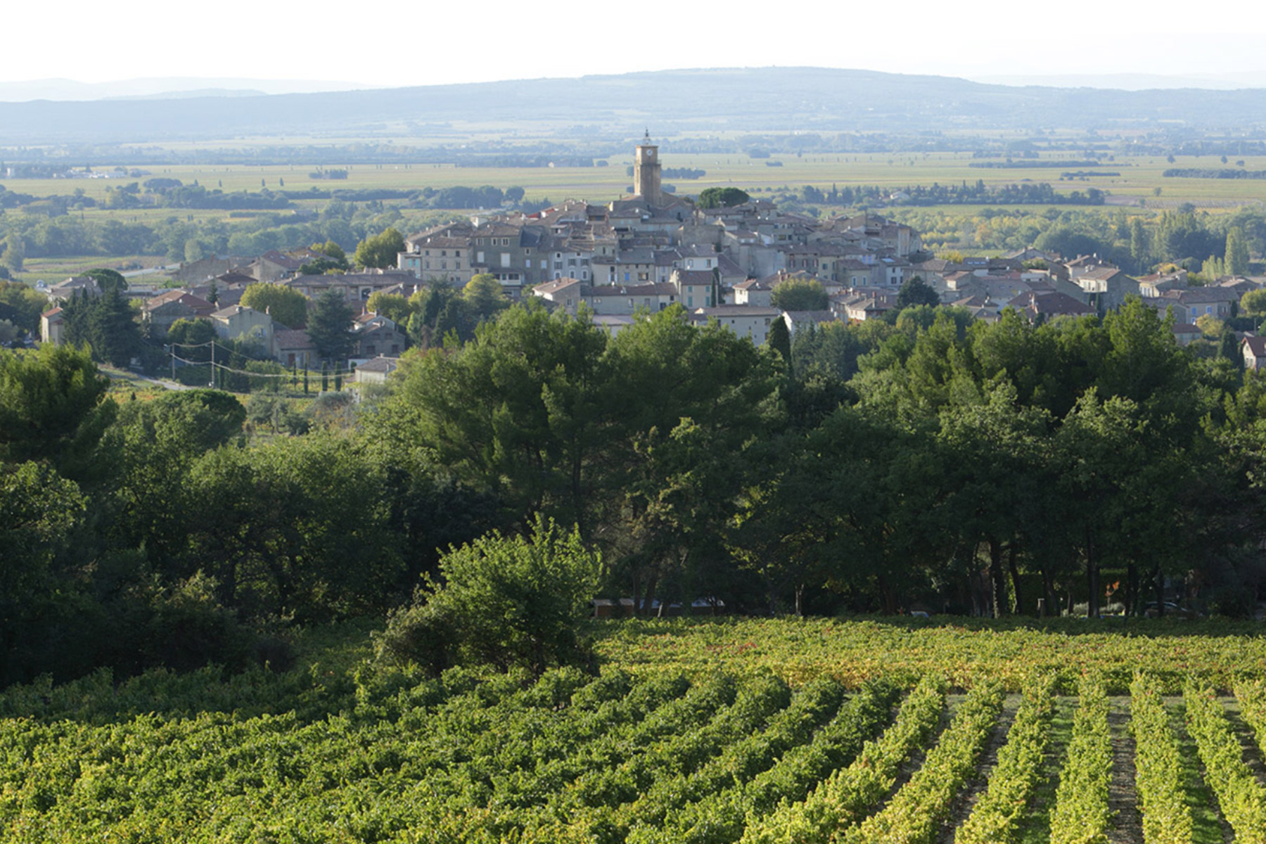 View of a picturesque village nestled in a green landscape, featuring a church tower in the center. A vineyard occupies the foreground, and rolling hills can be seen in the background under a clear sky. Fearrington Village