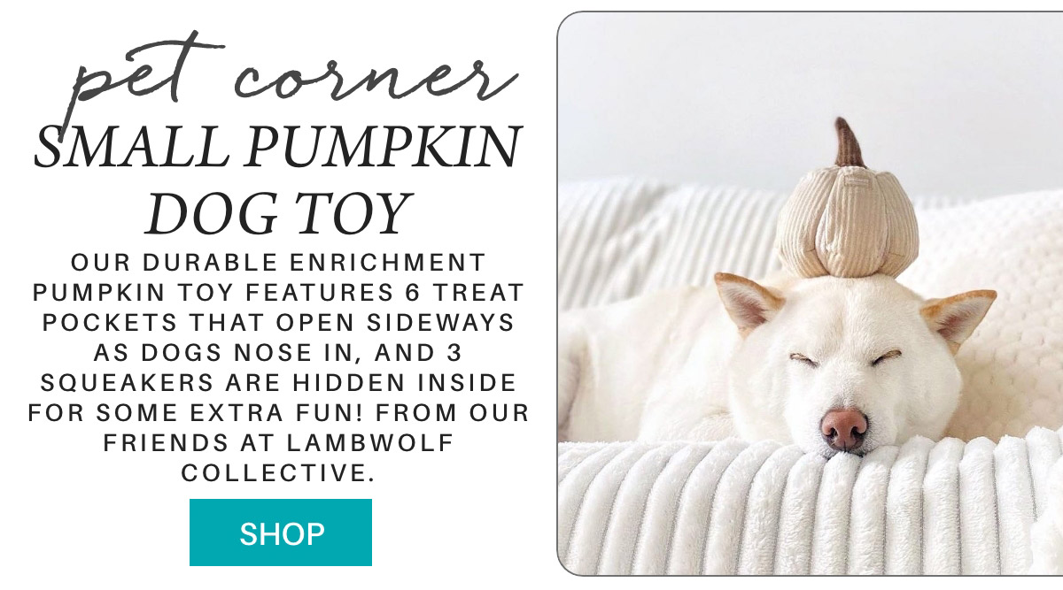 A white dog naps on a soft bed with a small pumpkin dog toy on its head. Text promotes the dog toy, highlighting its six treat pockets and three hidden squeakers. A "Shop" button is visible below the text. Fearrington Village