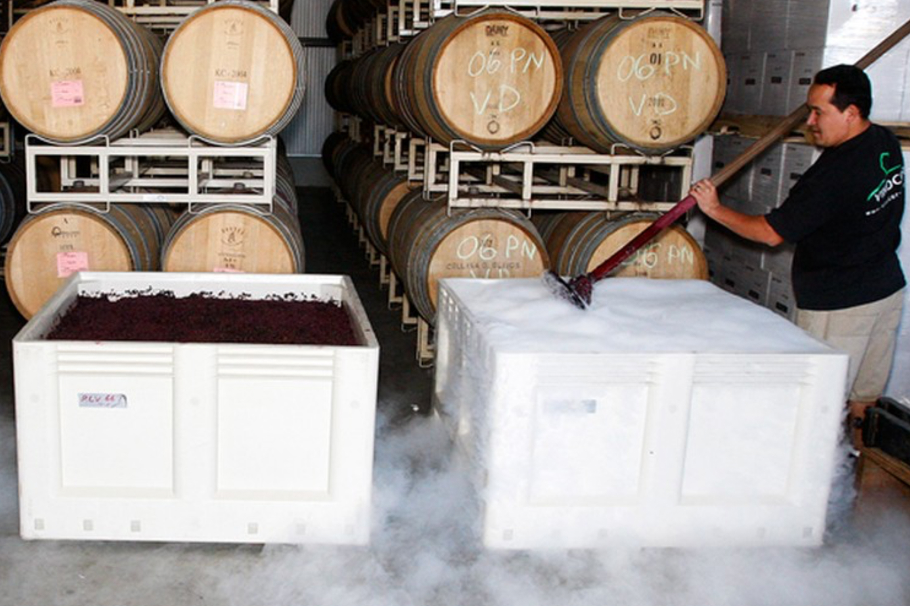 A person is standing next to large white bins filled with grapes, surrounded by fog, in a wine storage facility. Stacks of oak barrels line the background. The person is using a tool to work with the grapes. Fearrington Village