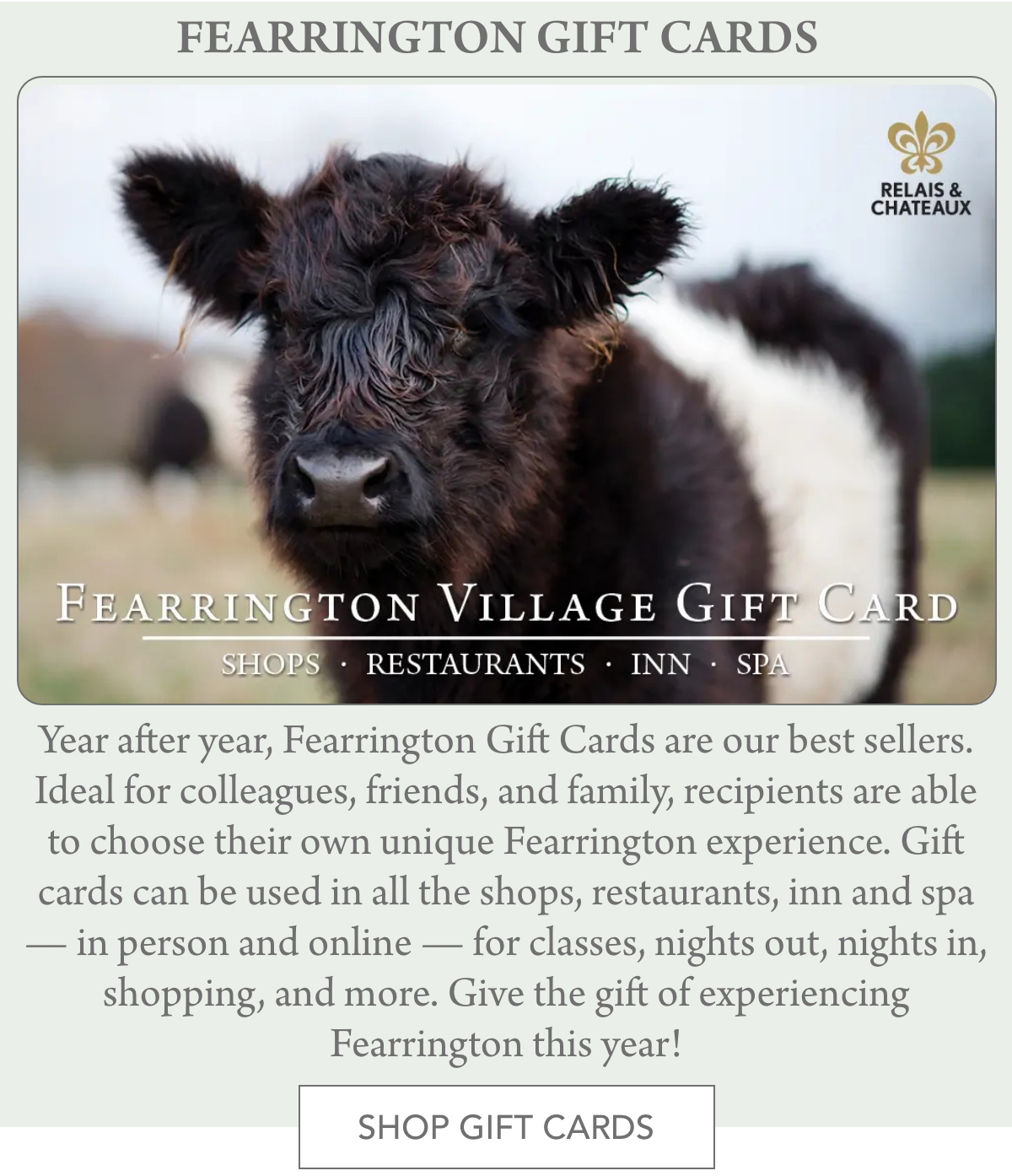 A fluffy black and white cow stands in a field. The text highlights Fearrington Village Gift Cards for shops, restaurants, inns, and spas. The card is ideal for various experiences, including classes and shopping. A "Shop Gift Cards" button is visible. Fearrington Village