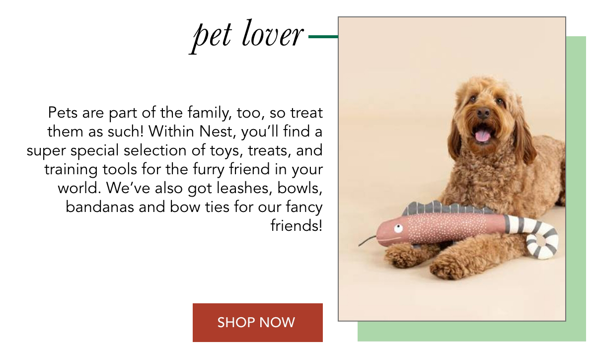 A fluffy brown dog lying on a beige background with a plush toy. Text next to the dog reads about treating pets like family and mentions leashes, bowls, bandanas, and bow ties. A "Shop Now" button is at the bottom. Fearrington Village