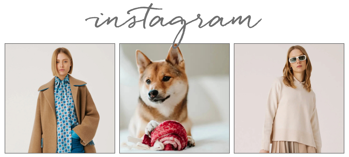 A triptych image with "Instagram" written above. Left: Woman in a tan coat and blue floral scarf. Center: Shiba Inu dog holding a red and white toy. Right: Woman in a beige sweater wearing sunglasses. Fearrington Village