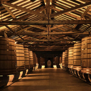 A dimly lit wine cellar with large wooden barrels lining both sides of a wide aisle. The ceiling is supported by wooden beams, and the atmosphere is warm and rustic. The barrels are evenly spaced and create a symmetrical visual effect. Fearrington Village