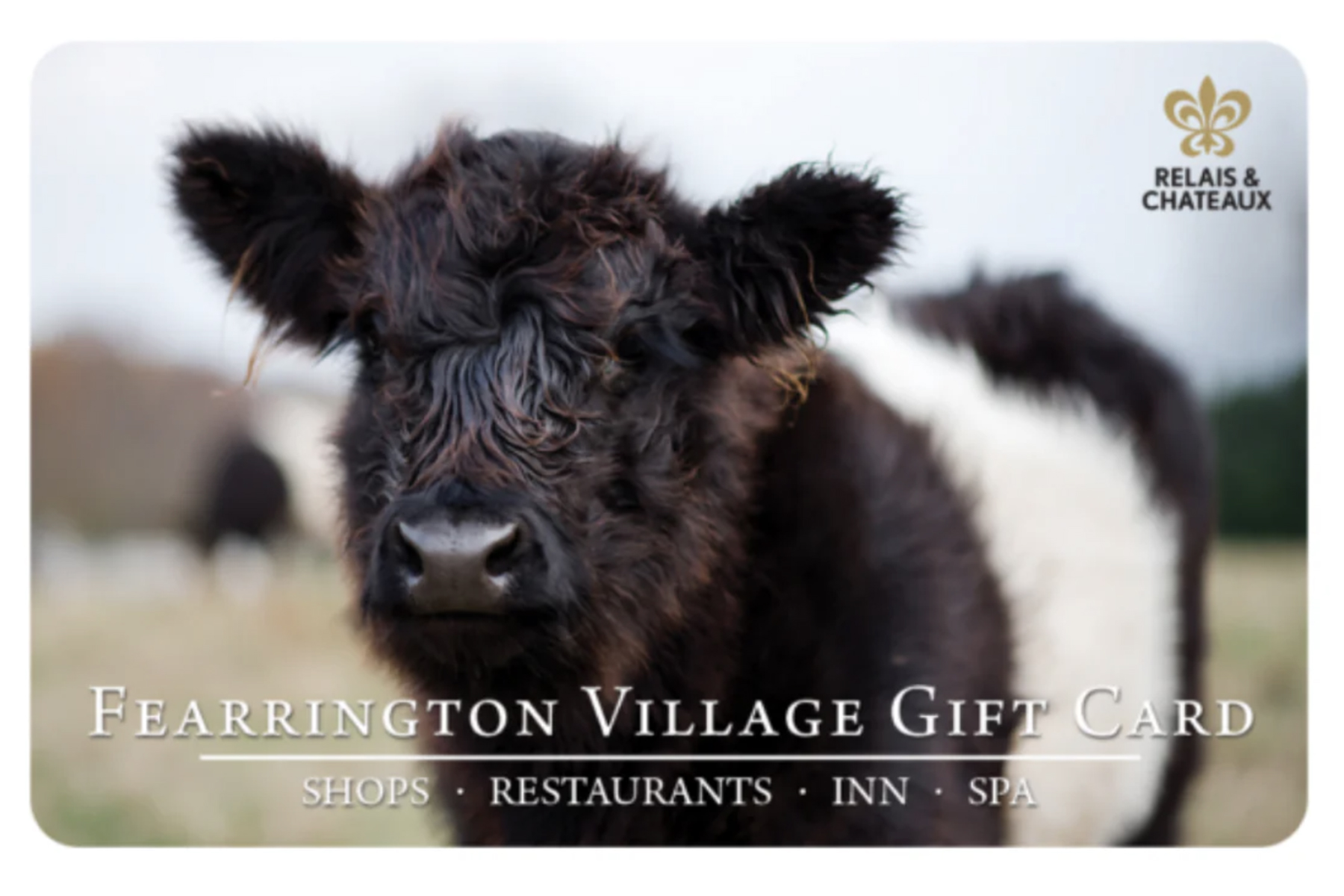 A close-up of a fluffy black and white cow on a gift card for Fearrington Village. Text includes "Relais & Chateaux" logo and mentions shops, restaurants, inn, and spa. The background is slightly blurred. Fearrington Village