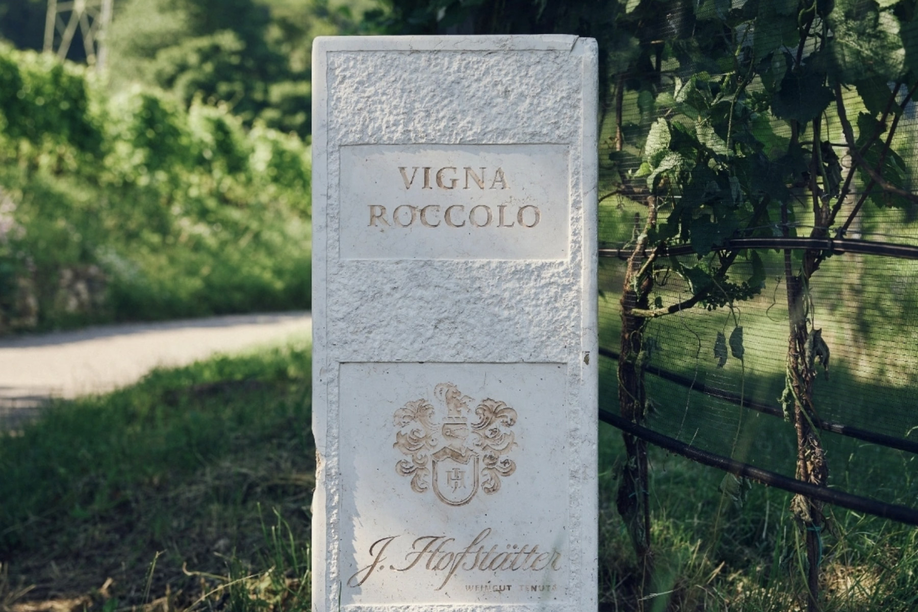 A stone marker in a vineyard reads "Vigna Roccolo" with the name "J. Hofstätter" beneath. It is surrounded by lush green vines and grass. Fearrington Village