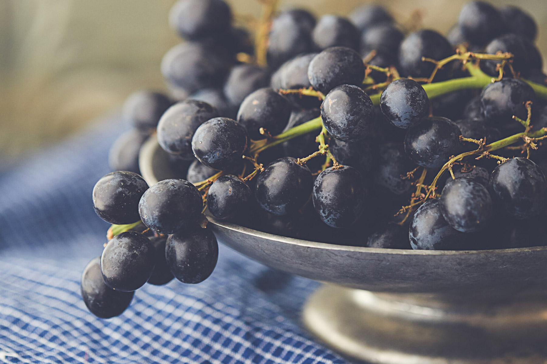 A close-up of a silver bowl filled with dark purple grapes, resting on a blue and white checkered cloth. The grapes have a fresh and glossy appearance, and light softly highlights their texture. Fearrington Village