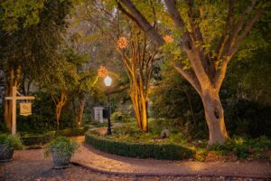 A serene garden path at dusk, illuminated by glowing orbs hanging from trees. The winding path is bordered by lush greenery and a small hedge, leading to an arched trellis under a canopy of tall, leafy trees. A street lamp casts a warm light. Fearrington Village