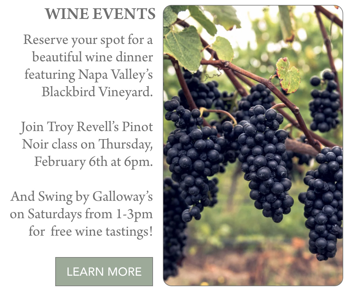 Close-up of grape clusters hanging from vines in a vineyard. Text on the left promotes wine events, including a Pinot Noir class and free wine tastings at Blackbird Vineyard. Fearrington Village