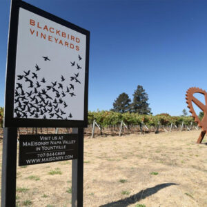 A sign for Blackbird Vineyards stands in a vineyard, displaying a flock of blackbirds in flight. In the background, grapevines stretch across the land under a clear sky, and a large rust-colored gear sculpture is visible. Fearrington Village