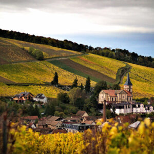 A picturesque landscape featuring a quaint village with a prominent church, surrounded by ochre and green terraced vineyards on rolling hills, under a cloudy sky. The scene is tranquil, showcasing the beauty of rural architecture and agriculture. Fearrington Village