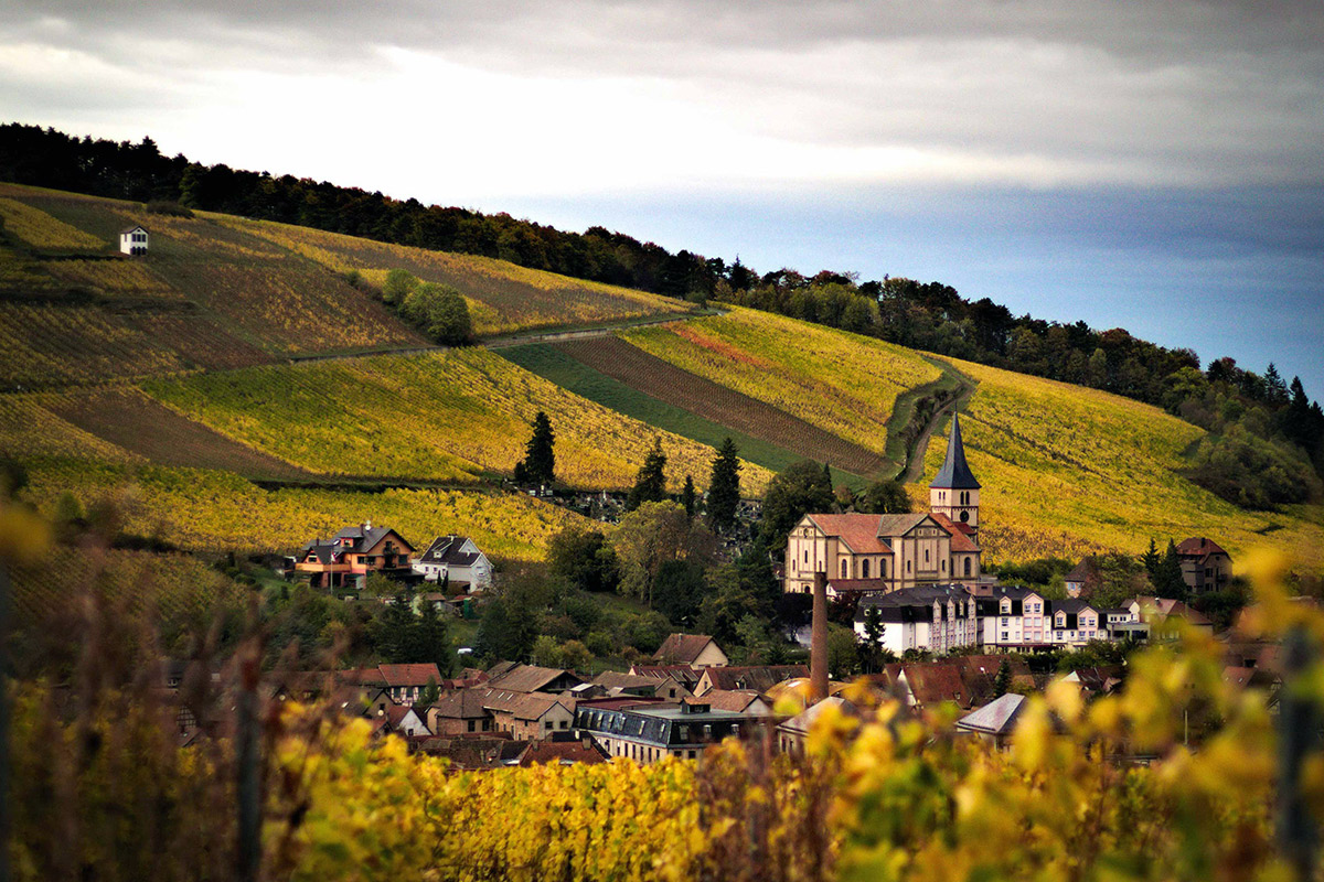 A picturesque landscape featuring a quaint village with a prominent church, surrounded by ochre and green terraced vineyards on rolling hills, under a cloudy sky. The scene is tranquil, showcasing the beauty of rural architecture and agriculture. Fearrington Village