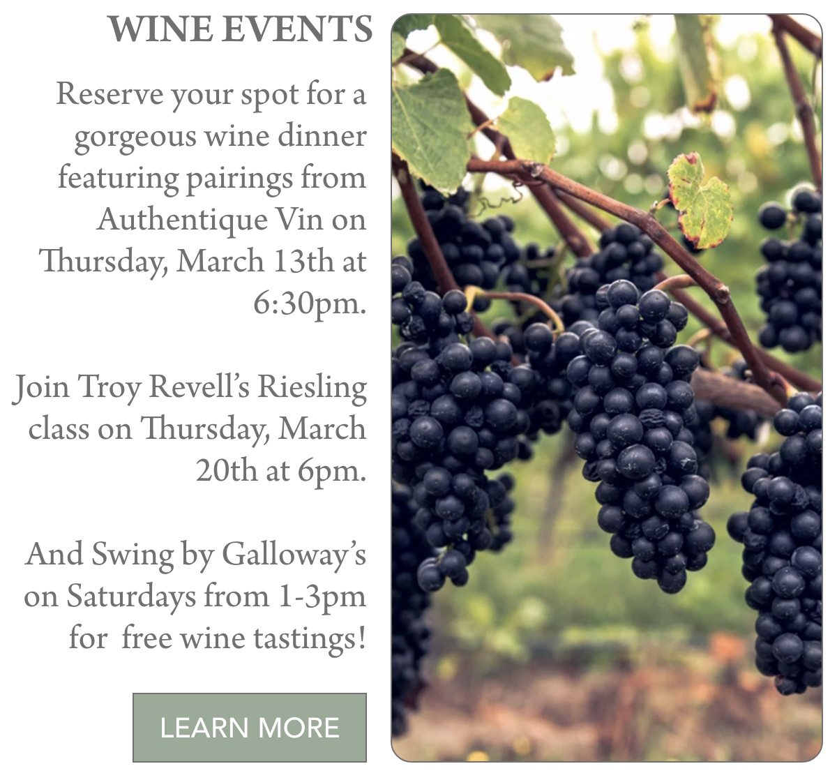 A cluster of purple grapes on a vine is shown next to text listing wine events in March, including a dinner on the 13th, a Riesling class on the 20th, and free tastings on Saturdays. A "Learn More" button is at the bottom. Fearrington Village