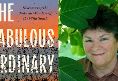 Georgann Eubanks will read from and discuss The Fabulous Ordinary on Saturday, April 12 at 11am