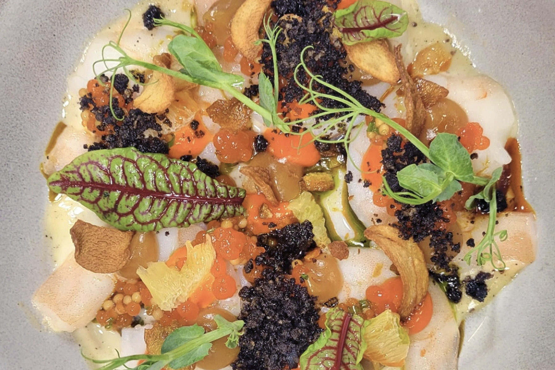 The Fearrington Plate - April 4, 2025 1 A colorful gourmet dish with thinly sliced fish, orange roe, black crumbs, microgreens, crispy garlic chips, green leaves with red veins, and yellow citrus segments, artfully arranged on a light-colored plate. Fearrington Village