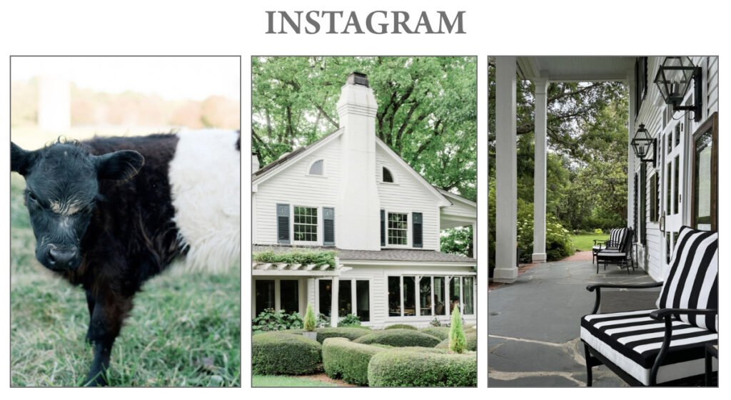 A collage with three photos: a fuzzy black and white calf, a white two-story house with green bushes and trees, and a porch scene with black-and-white striped chairs and vintage lanterns. Fearrington Village