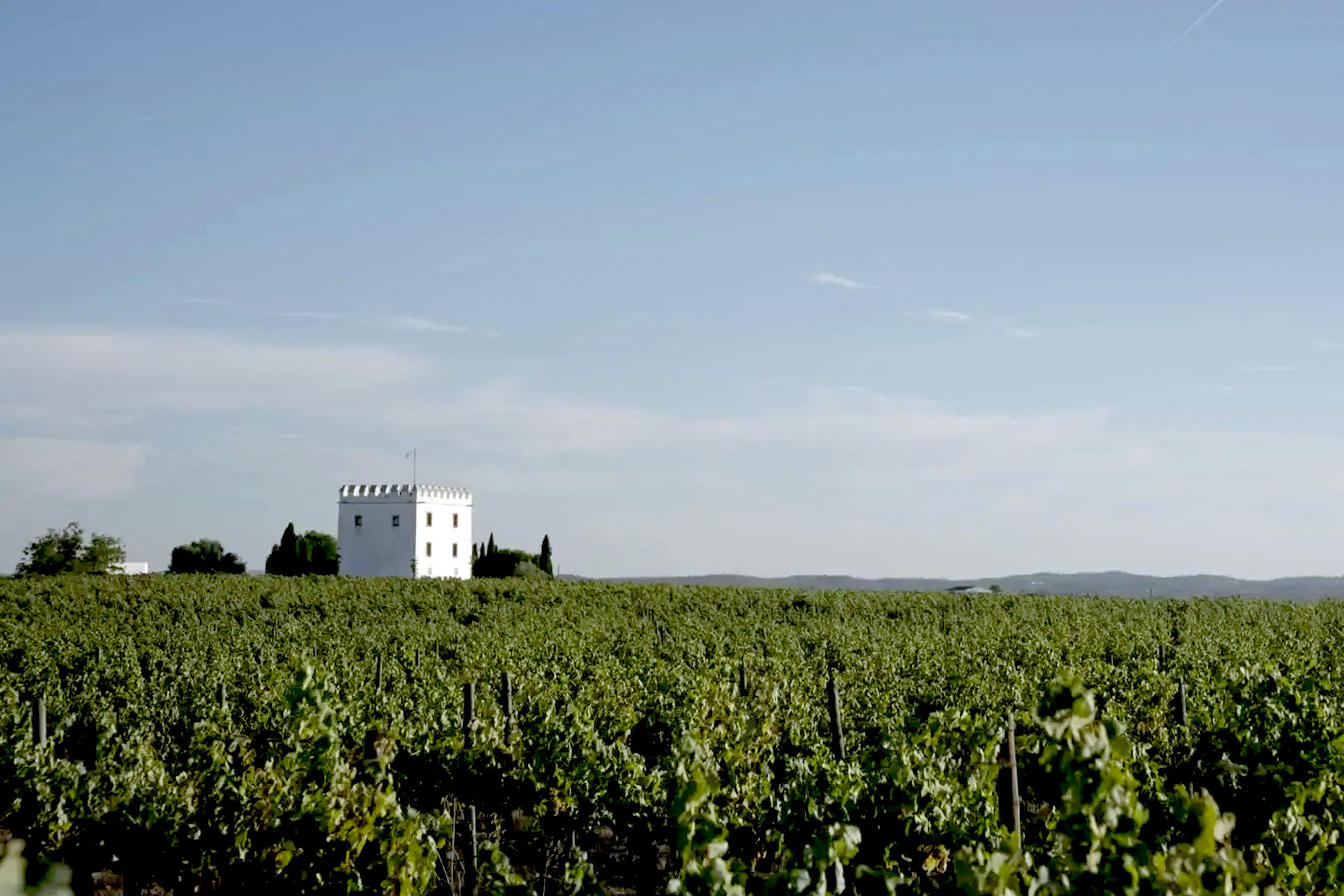 A white, square building stands amidst green vineyard rows under a clear blue sky, with distant trees and hills in the background. Fearrington Village