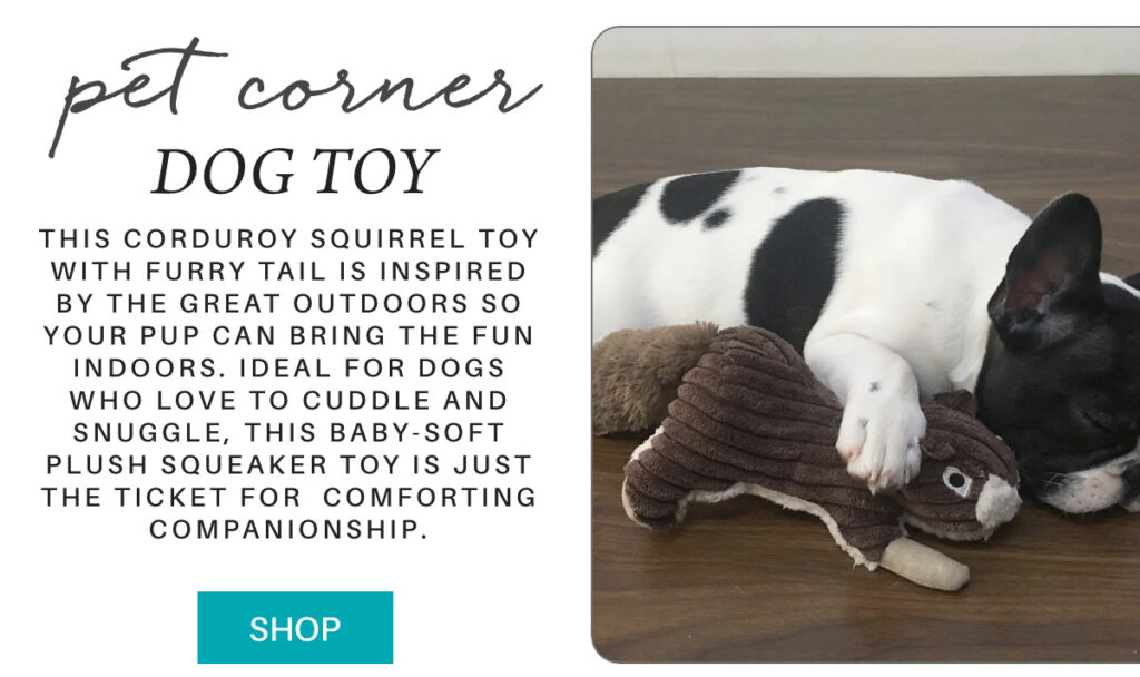 A black and white dog lies on a wooden floor, cuddling a brown corduroy squirrel plush toy. Text describes the toy as soft and comforting, ideal for dogs who like to snuggle. A teal “Shop” button is shown. "this corduroy squirrel toy with furry tail is Inspired by the great outdoors so your pup can bring the fun indoors. Ideal for dogs who love to cuddle and snuggle, this baby-soft plush squeaker toy is just the ticket for comforting companionship." Fearrington Village