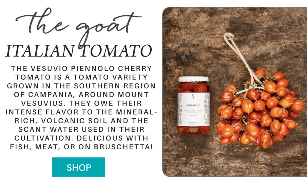 A jar of Vesuvio Piennolo cherry tomato sauce and a cluster of fresh cherry tomatoes rest on a rustic brown surface. Text describes the tomatoes’ Italian origin and culinary uses. A blue "Shop" button appears below. "The Vesuvio Piennolo cherry tomato is a tomato variety grown in the southern region of Campania, around Mount Vesuvius. They owe their intense flavor to the mineral-rich, volcanic soil and the scant water used in their cultivation. delicious with fish, meat, or on bruschetta!" Fearrington Village